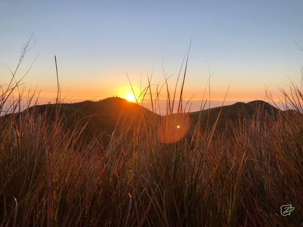 Incomparable Sight in Mount Pulag