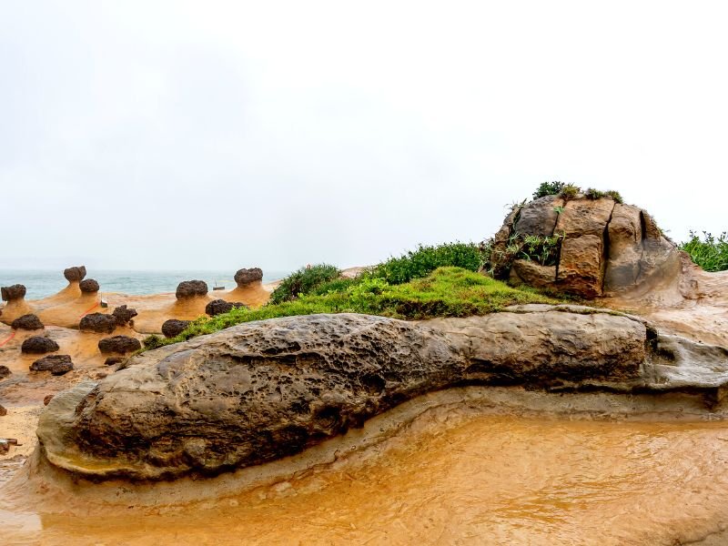 Drumstick, Yehliu Geopark, Taiwan