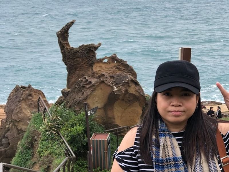 Marine Bird Rock, Yehliu Geopark, Taiwan