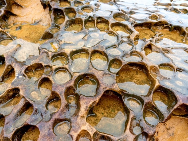 Rock Weathering, Yehliu Geopark, Taiwan