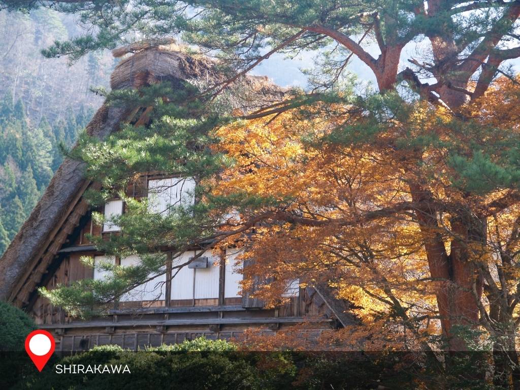 A glimpse to Wada house during Autumn, Shirakawa, Japan