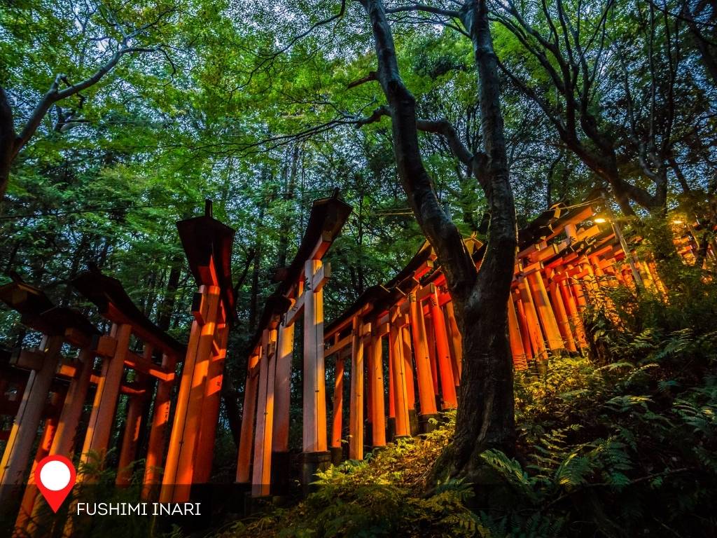 Red torii gates at the Fushimi Inari, Kyoto, Japan