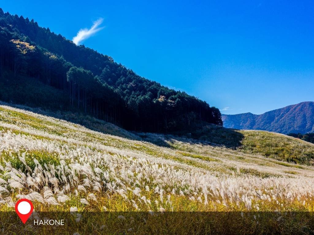 Sengokuhara Grass Fields, Hakone, Kanagawa, Japan