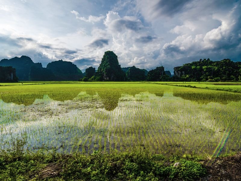 Tam Coc, Ninh Binh, Vietnam (3)