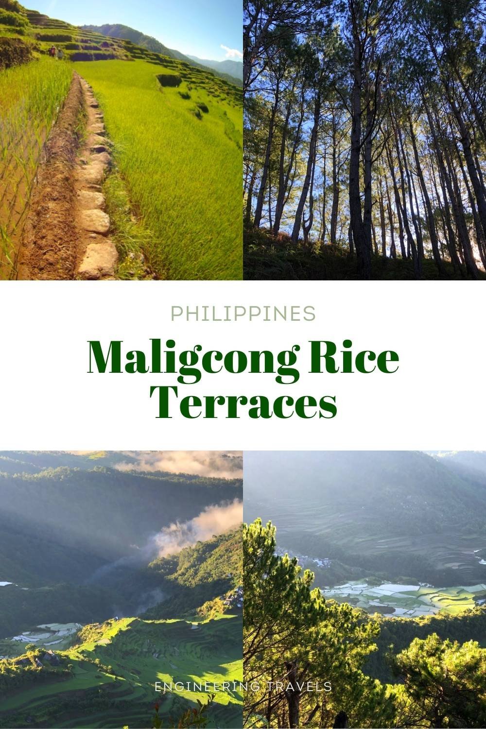 Maligcong Rice Terraces: Travel Guide & What To Expect – Engineering 