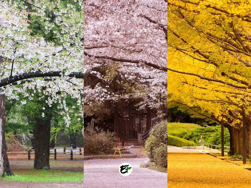Most Beautiful Parks In Tokyo (w/ Google Maps & Directions)