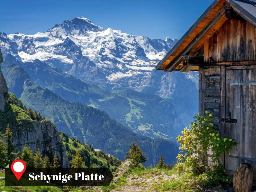 Grindelwald, Switzerland Itinerary Destination, Schynige Platte