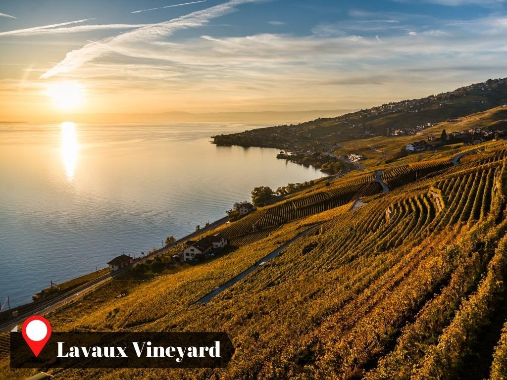 Montreux, Switzerland Itinerary Destination, Lavaux Vineyard