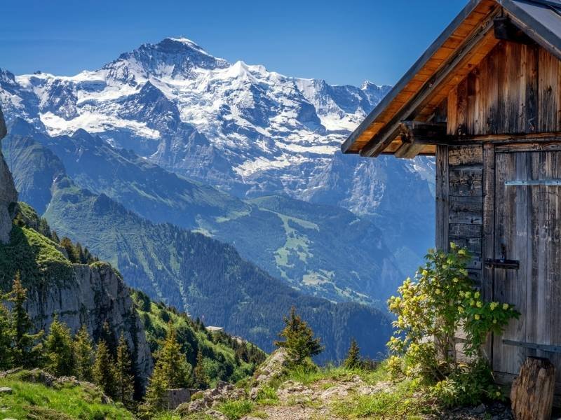 Interlaken Itinerary, jungfrau region, destination, Schynige Platte