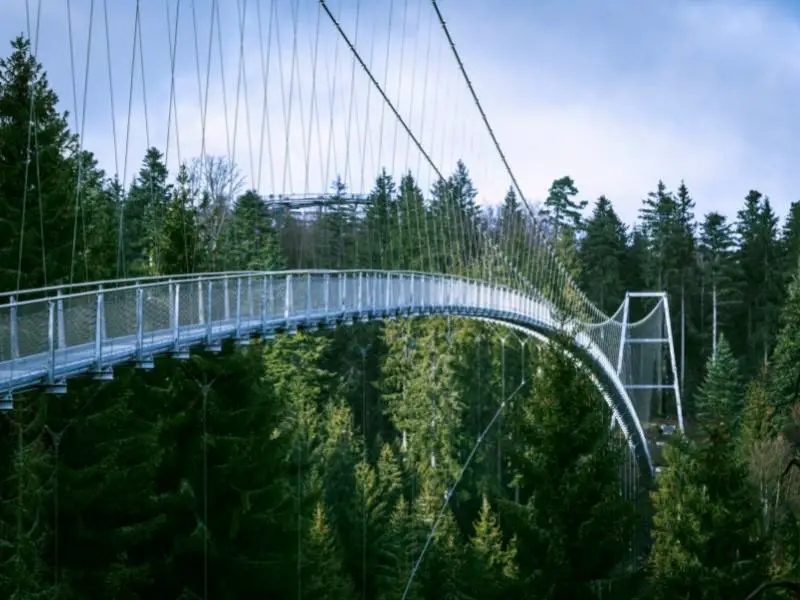 The extraordinary appearance of Wildline hanging bridge