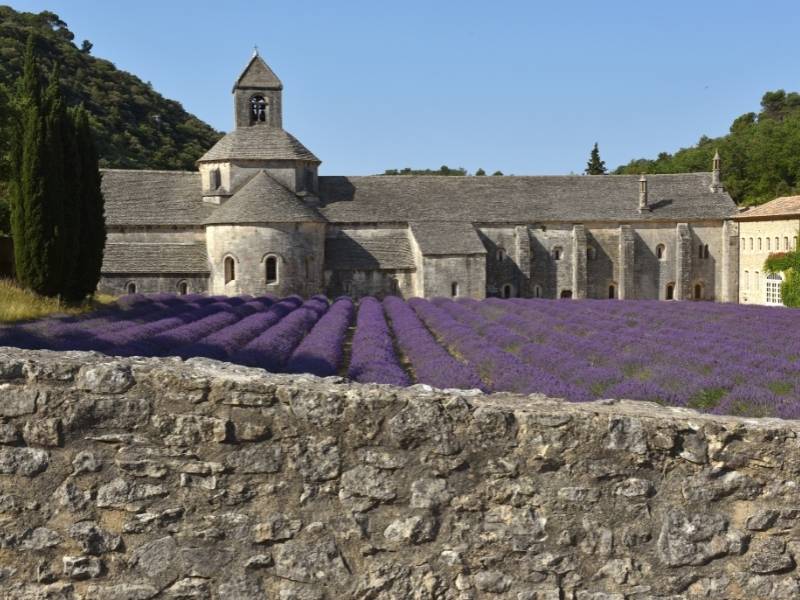 Gordes, France - the view of Senanque Abbey Lavender Field 