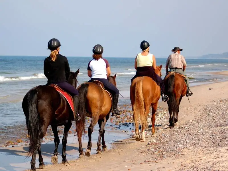 Aigues Mortes France, Horseback riding in Camargue