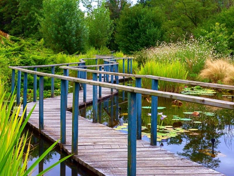 Domme France, Wooden foot bridge in Water Gardens of Carsac