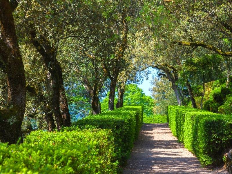 Domme France, Gorgeous pathway in Les Jardins de Marqueyssac
