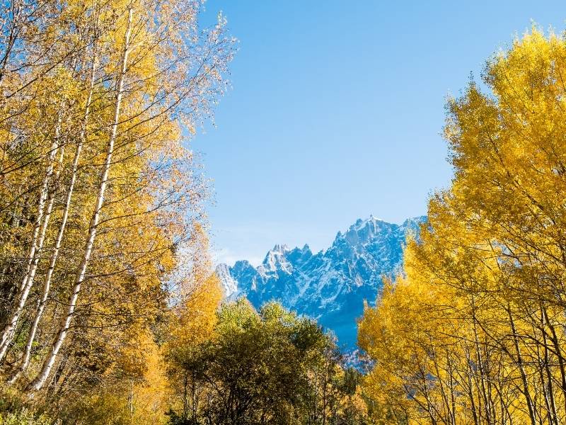 Chamonix France, Mont Blanc and autumn leaves