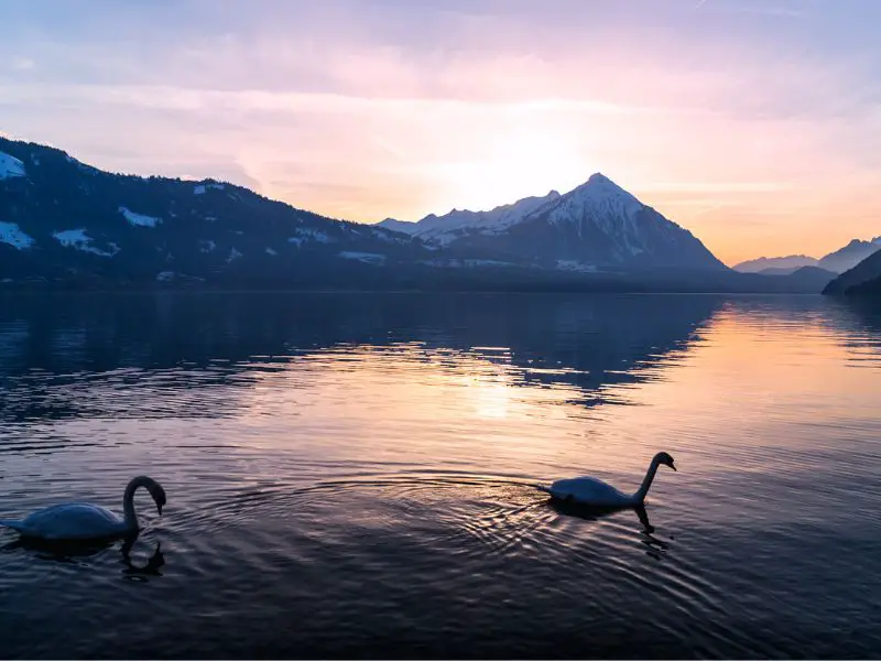 Interlaken Switzerland, Lake Thun