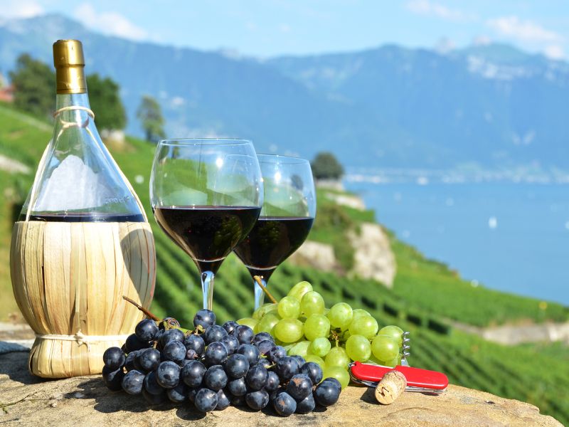 Montreux Switzerland, Lavaux Vineyard Wine