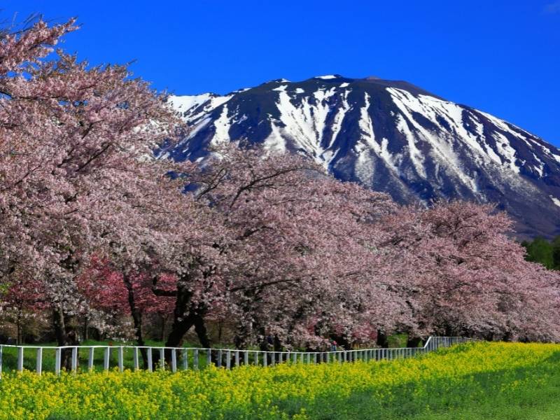 Mount Iwate, Iwate, Japan