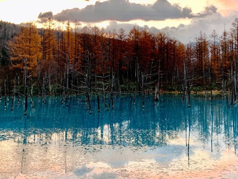 Shirogane Blue Pond during Autumn, Hokkaido, Japan