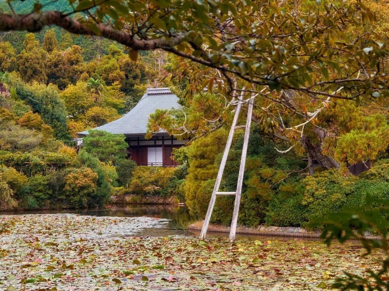 Kyoyochi-Pond-Water-Garden-Ryoan-Ji-Kyoto-Japan-Natural-Attractions-in-Kyoto